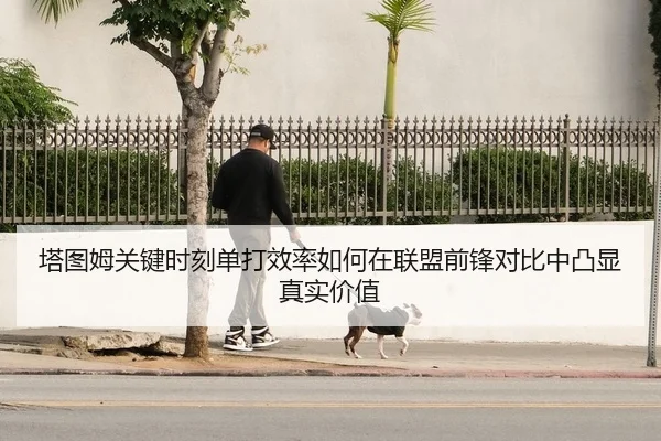 塔图姆关键时刻单打效率如何在联盟前锋对比中凸显真实价值